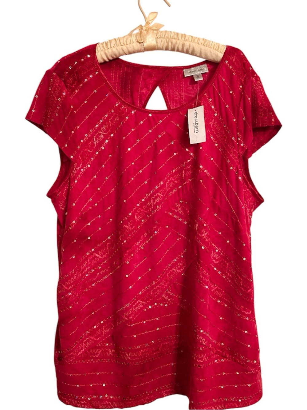 NWT Fairycore Y2K Dressbarn Plus Size Top Size 2x